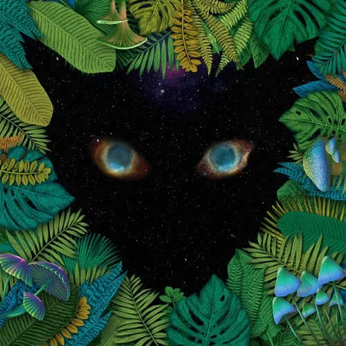 The Strange One album artwork
